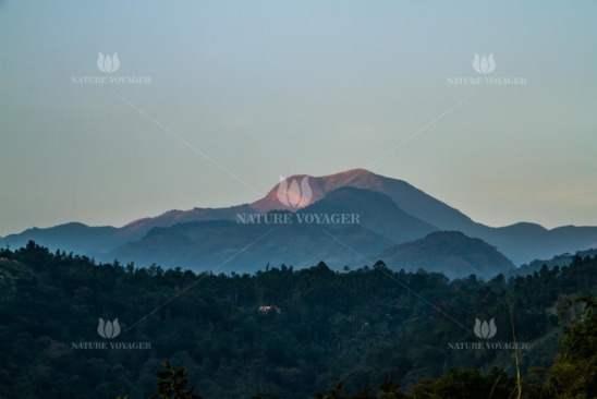 Glowing Mountain Top seen among the misty Forest land.